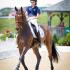 Fei North American Junior and Young Rider Championships 2013